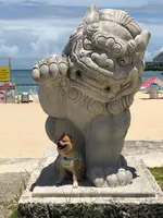 恩納海浜公園ナビービーチの写真・動画_image_362446