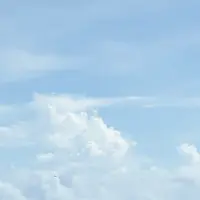 花人逢の写真・動画_image_362448