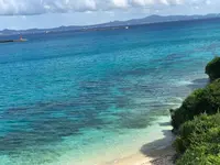 アンチ浜の写真・動画_image_362454