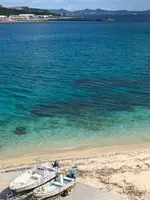 アンチ浜の写真・動画_image_362455