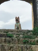 座喜味城跡の写真・動画_image_362541