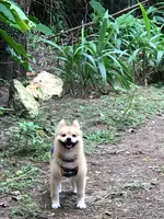 末吉公園の写真・動画_image_362617