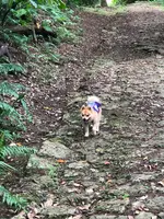 末吉公園の写真・動画_image_362619