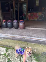 琉球村の写真・動画_image_362718