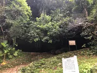 仲泊遺跡の写真・動画_image_362721