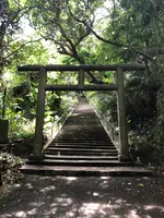 シルミチューの写真・動画_image_362991