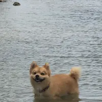 兼久ビーチの写真・動画_image_363010