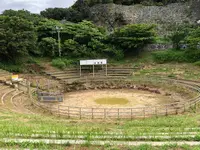 安慶名城跡闘牛場の写真・動画_image_363016