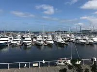 横浜ベイサイドマリーナの写真・動画_image_363047