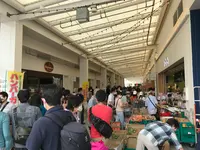 横浜ベイサイドマリーナの写真・動画_image_363069