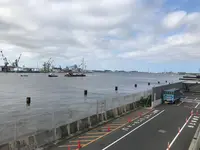 横浜ベイサイドマリーナの写真・動画_image_363079