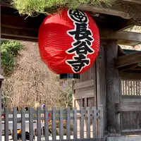 長谷寺の写真・動画_image_363153