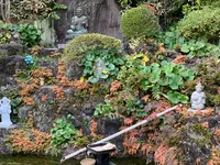 長谷寺の写真・動画_image_363154