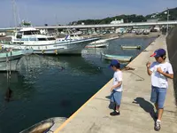 大磯港 東堤防の写真・動画_image_363166