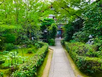 退蔵院の写真・動画_image_363523