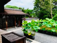 退蔵院の写真・動画_image_363529