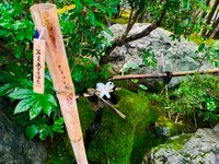 退蔵院の写真・動画_image_363531