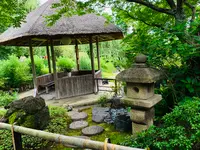 退蔵院の写真・動画_image_363532