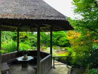 退蔵院の写真・動画_image_363533