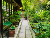 退蔵院の写真・動画_image_363542