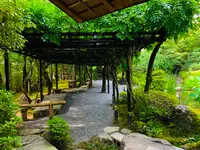 退蔵院の写真・動画_image_363543