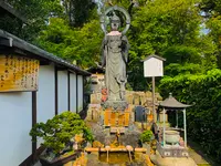 退蔵院の写真・動画_image_363544