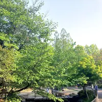 蚕糸の森公園の写真・動画_image_363634