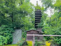 等持院の写真・動画_image_363850