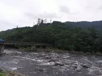 小田原漁港の写真・動画_image_363923