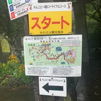 武蔵御嶽神社の写真・動画_image_364134