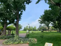 倉敷みらい公園の写真・動画_image_364321