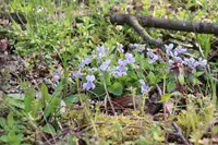 市民の森 学習管理棟「木々」の写真・動画_image_364385