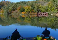 大平森林公園の写真・動画_image_364395