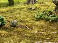 三千院の写真・動画_image_364541