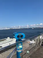 大桟橋ふ頭の写真・動画_image_364892