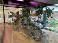 岩国シロヘビの館の写真・動画_image_364972