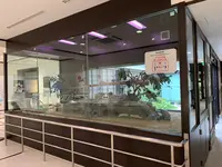 岩国シロヘビの館の写真・動画_image_364974