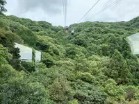 岩国城ロープウエーの写真・動画_image_364987