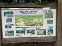 岩国城の写真・動画_image_364996