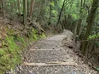 岩国城の写真・動画_image_365000