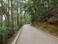 岩国城の写真・動画_image_365001