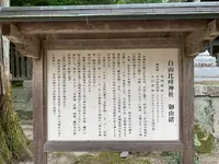 白山比咩（ひめ）神社の写真・動画_image_365033