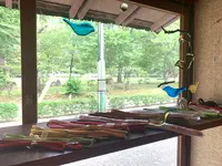 いろやギャラリーの写真・動画_image_365076