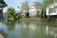 くらしき川舟流しの写真・動画_image_365198