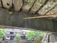くらしき川舟流しの写真・動画_image_365204