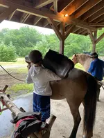 森の馬小屋の写真・動画_image_365308