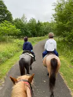 森の馬小屋の写真・動画_image_365310