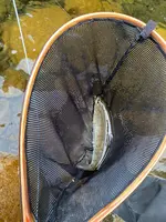 岩内仙峡の写真・動画_image_365320