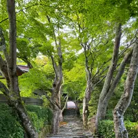 寂光院の写真・動画_image_365806