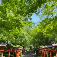 鞍馬寺 本堂の写真・動画_image_365985
